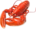 food_image